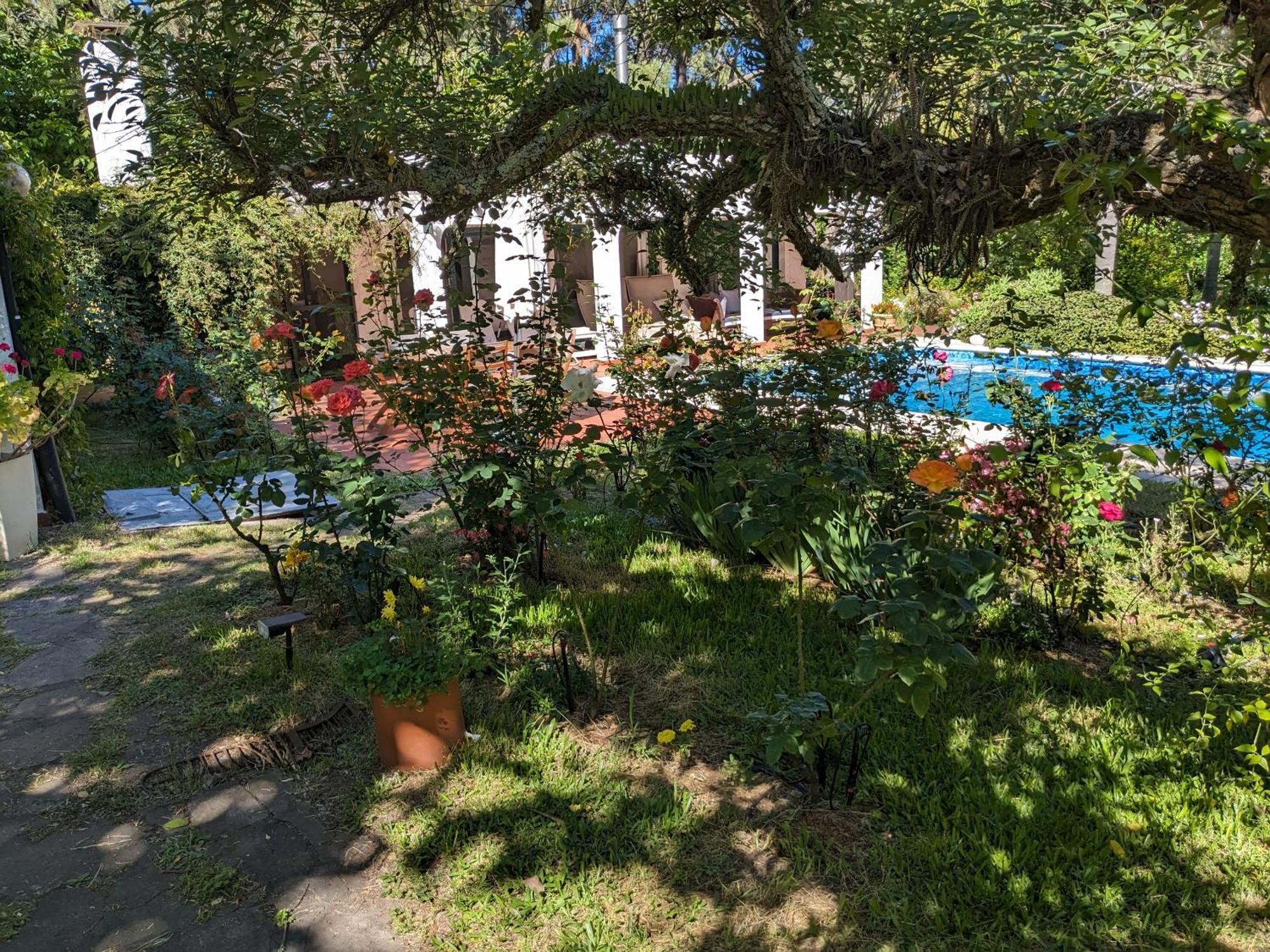 Casa Pura Vida Otel Punta Ballena Dış mekan fotoğraf